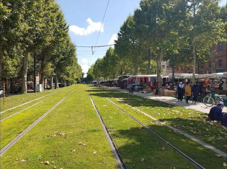 דירות טולוז Le Studio Jardin D'Eden Metro Palais De Justice מראה חיצוני תמונה